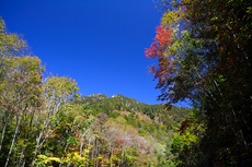 ちょっと遅かった紅葉ハイク