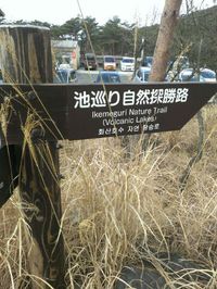 W・A・L・K・I・N・G