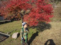 2013　LAST　Family　Trekking