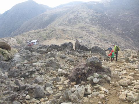 3peakｓ