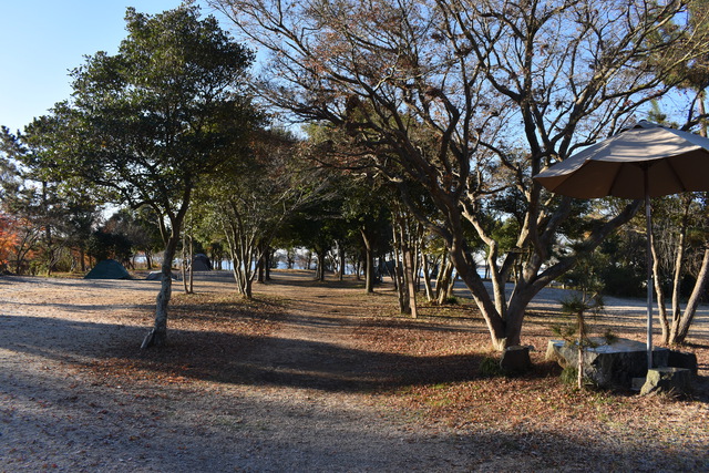 たくせん園地(栃木県） ＮＯ.１２