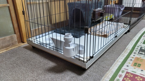 黒猫のはなし 09 手術そして退院 ※注：傷口画像あり