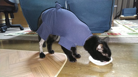 黒猫のはなし 10 エリザベスウェア