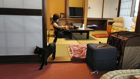 黒猫のはなし 11 抜糸