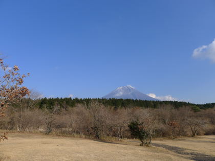 本年、初キャンプ