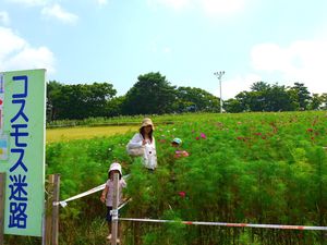 夏休みキャンプinモヤヒルズ　PART2