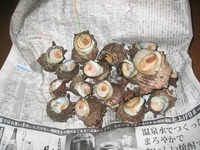 今日のおつまみ！