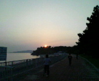 夕日。