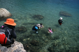 浩庵キャンプ場