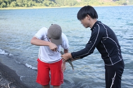 浩庵キャンプ場