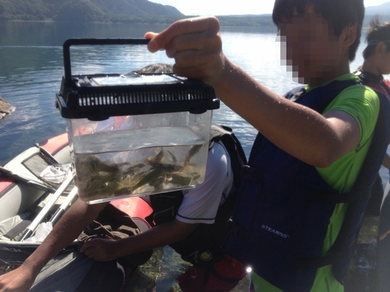 本栖湖