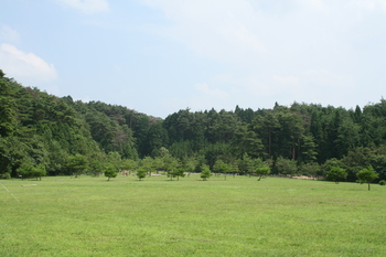 GM企画情報　１