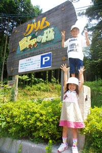 こんな私が言うのもなんなんですが・・・・