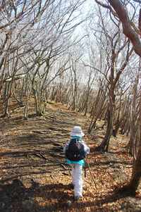 三峰山　下見？
