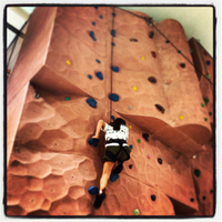 climb on!!