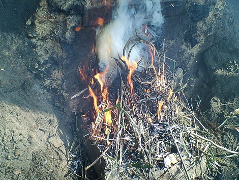 土曜は炭焼き小屋でまったりです。