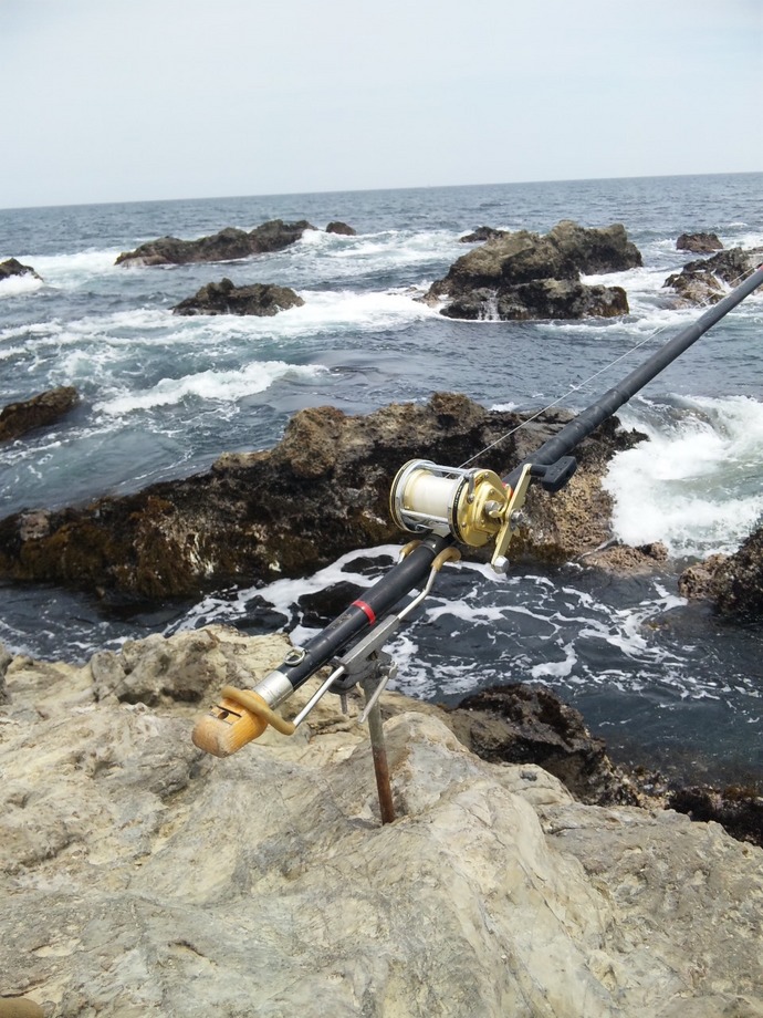 しかちゃんと野原で遊ぼうよ＆房総の石鯛軍団魚遊会！:江見太夫崎の石鯛釣り！