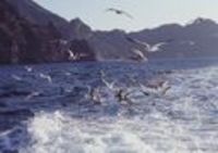 シャワー室に出現！あわや裸で。。。 2006/01/26 15:00:00