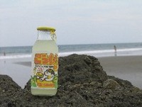 ナルゲン（Nalgene)カラーレキザンボトル　