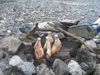 憧れ！河原でチキンレッグ