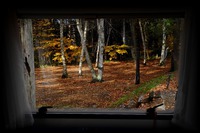 2013 fall camping in 清里 －その3－ 2013/11/08 23:07:53