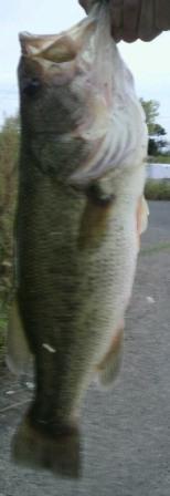 ひさびさびに 2011/10/02 22:39:19