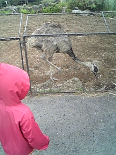 夏休み２日目（伊豆シャボテン公園）