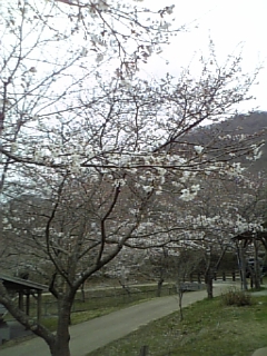 雨ですが…