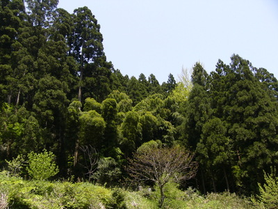 田舎でアウトドア～