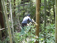 田舎でアウトドア～