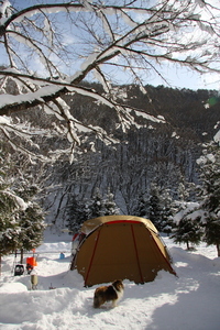 2013年 雪中キャンプ ～大鬼谷～