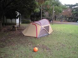 智光山公園③　＜シャンティ編＞