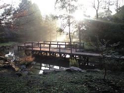 智光山公園③　＜シャンティ編＞