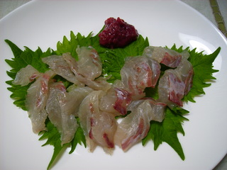 チヌの昆布じめ＆お茶漬け