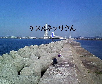 お答えします！