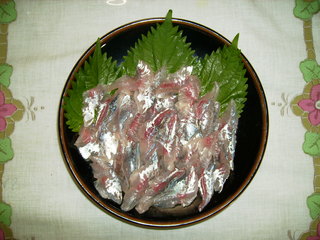 アジの刺身