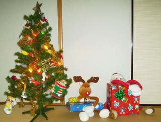 Happy Christmas and Birthday!!