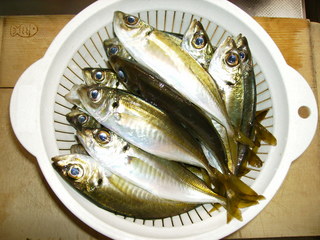 集中しきれず・・・