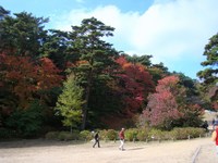 紅葉狩り