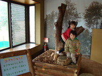 予報に反し・・・