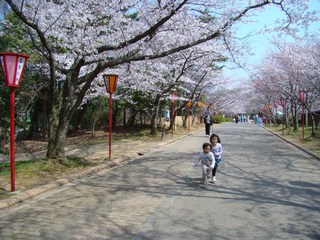 今日こそ・・・