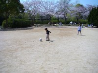 今日こそ・・・