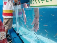南紀白浜旅行　7月22日