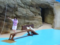 南紀白浜旅行　7月23日