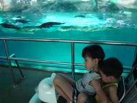 南紀白浜旅行　7月23日