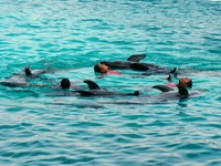 南紀白浜旅行　7月23日
