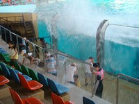 南紀白浜旅行　7月23日