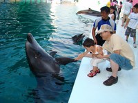 南紀白浜旅行　7月23日