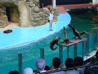 南紀白浜旅行　7月23日