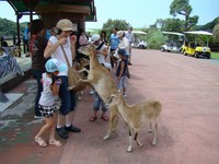 南紀白浜旅行　7月23日
